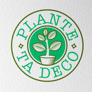 création du logo Plantes ta déco